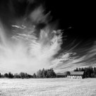 White sky